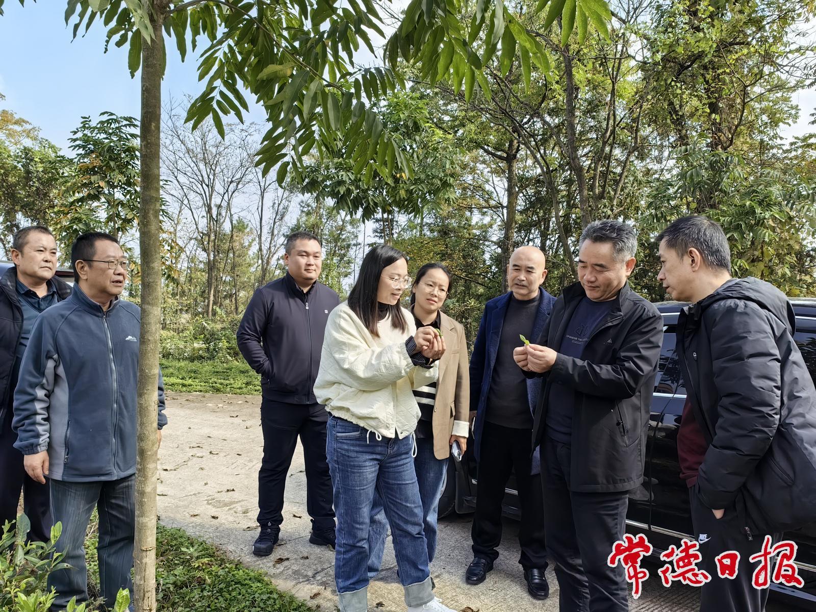 3175047_d6a2c3ba-4bc9-471b-9999-5d740cb250e1_batchwm.jpg 3175047_d6a2c3ba-4bc9-471b-9999-5d740cb250e1_batchwm.jpg